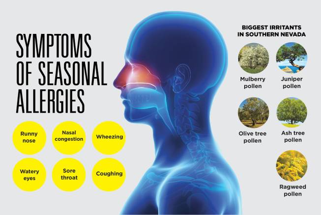 Tree pollen allergy symptoms sore throat